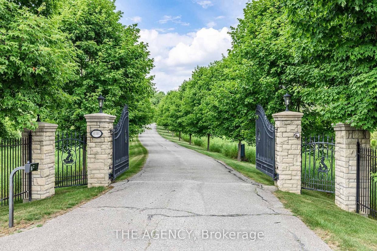 The gates and tree-lined drive